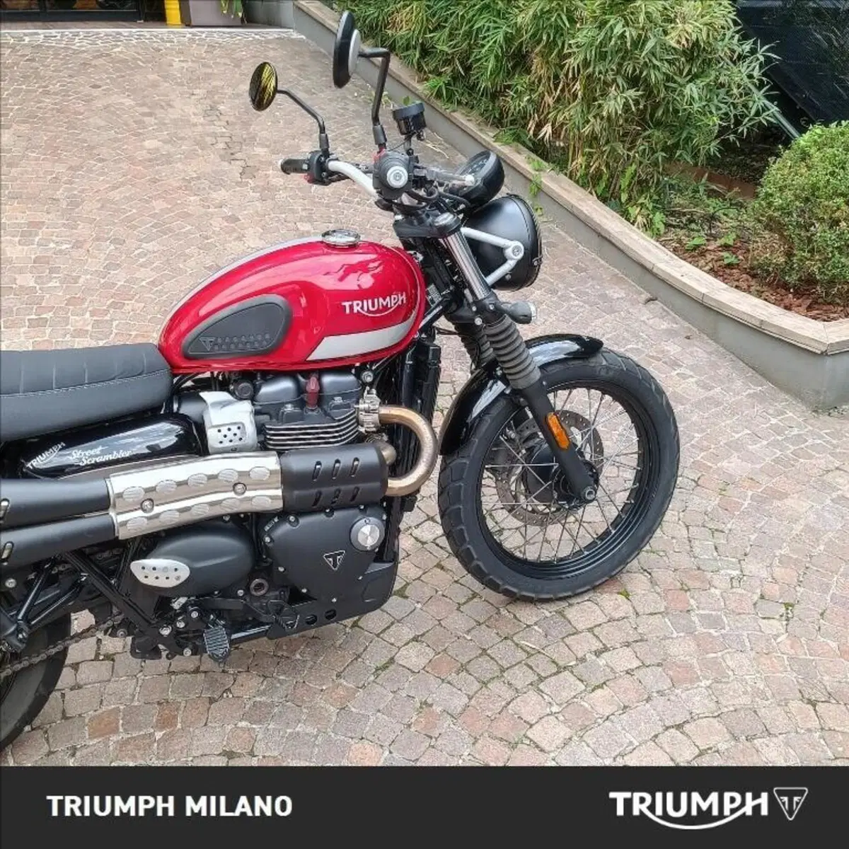 Triumph Street Scrambler 900 (2017 - 18) (3)