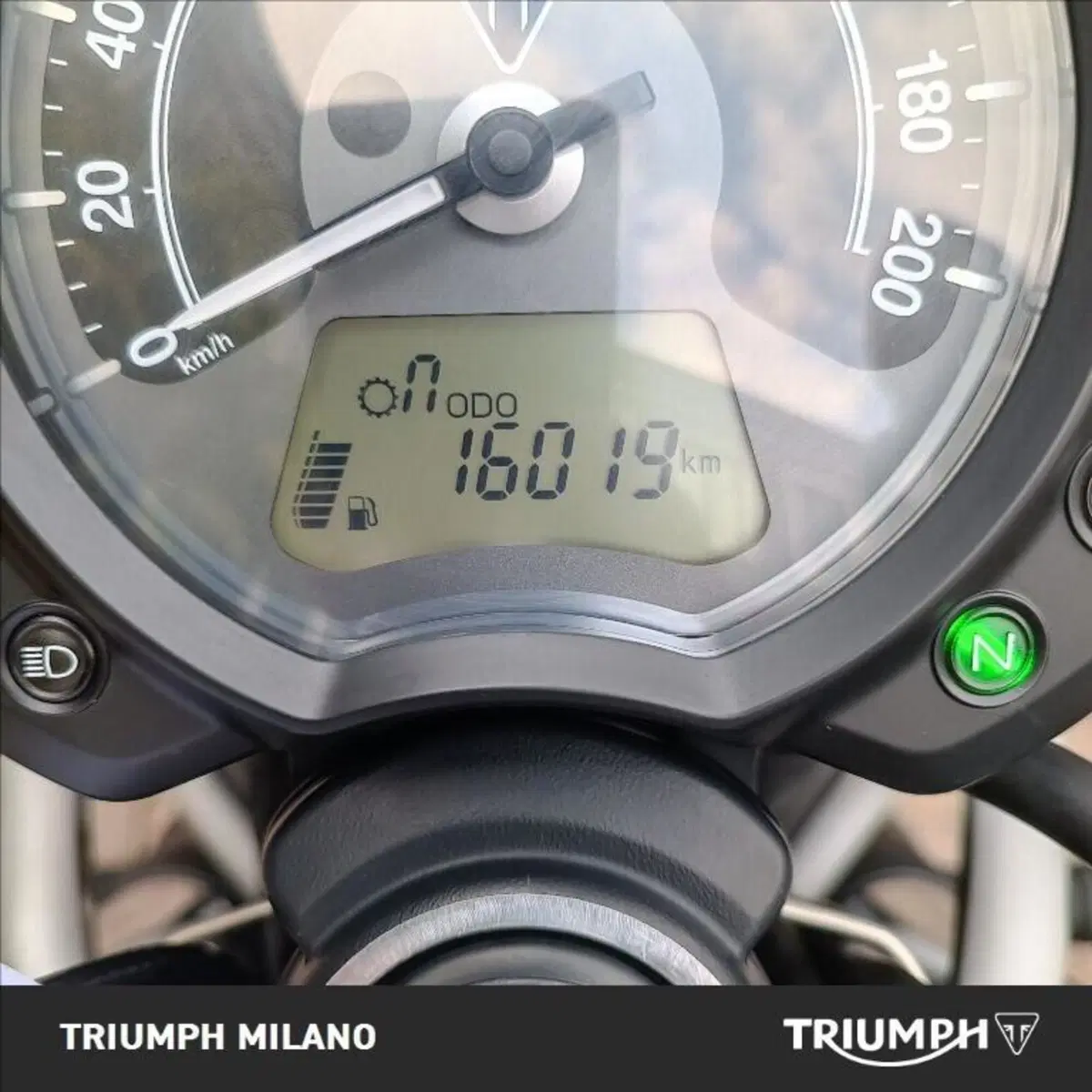 Triumph Street Scrambler 900 (2017 - 18) (5)