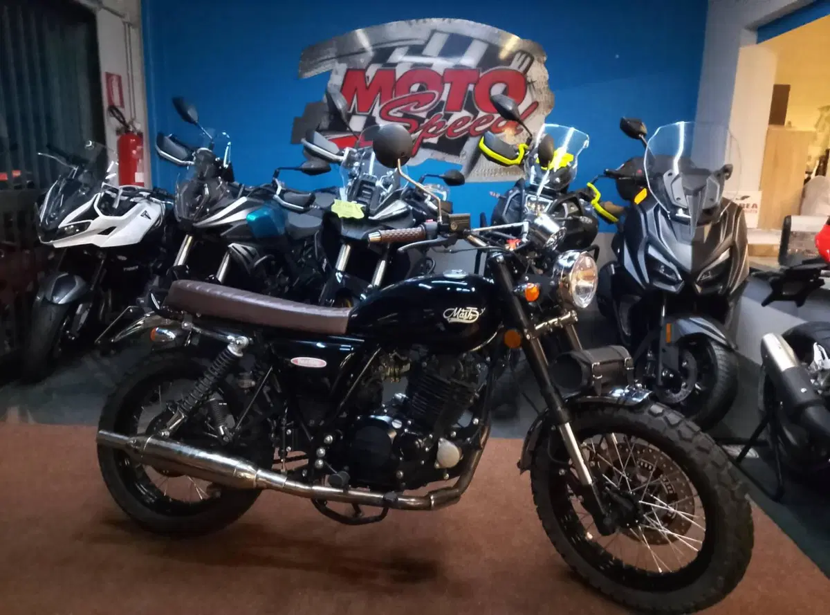 Mash Italia Two Fifty 250 (2017 - 20) (2)