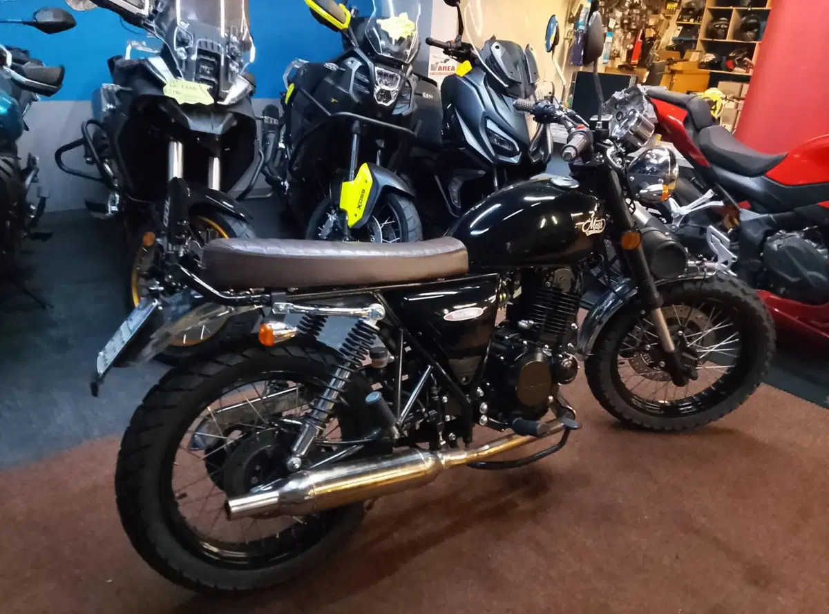 Mash Italia Two Fifty 250 (2017 - 20) (5)