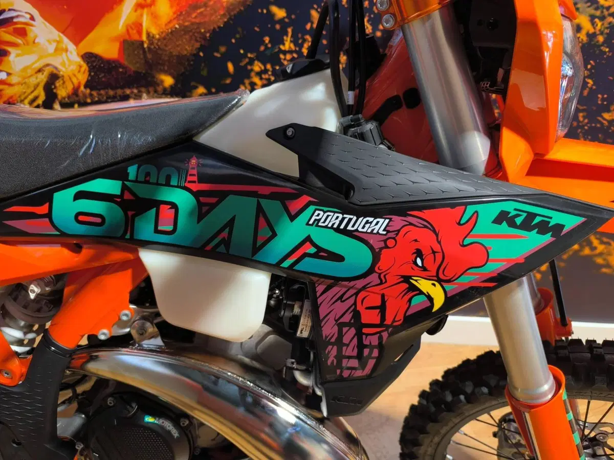 KTM 300 EXC 6Days (2027) (4)