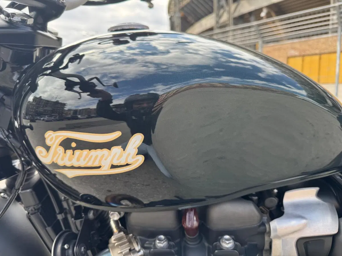 Triumph Street Scrambler 900 Sandstorm (2021 - 22) (5)