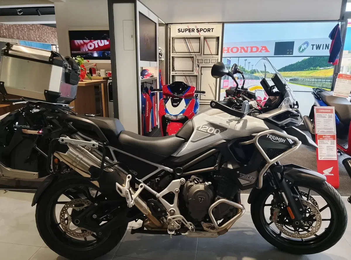 Triumph Tiger 1200 GT Pro (2022 - 23)