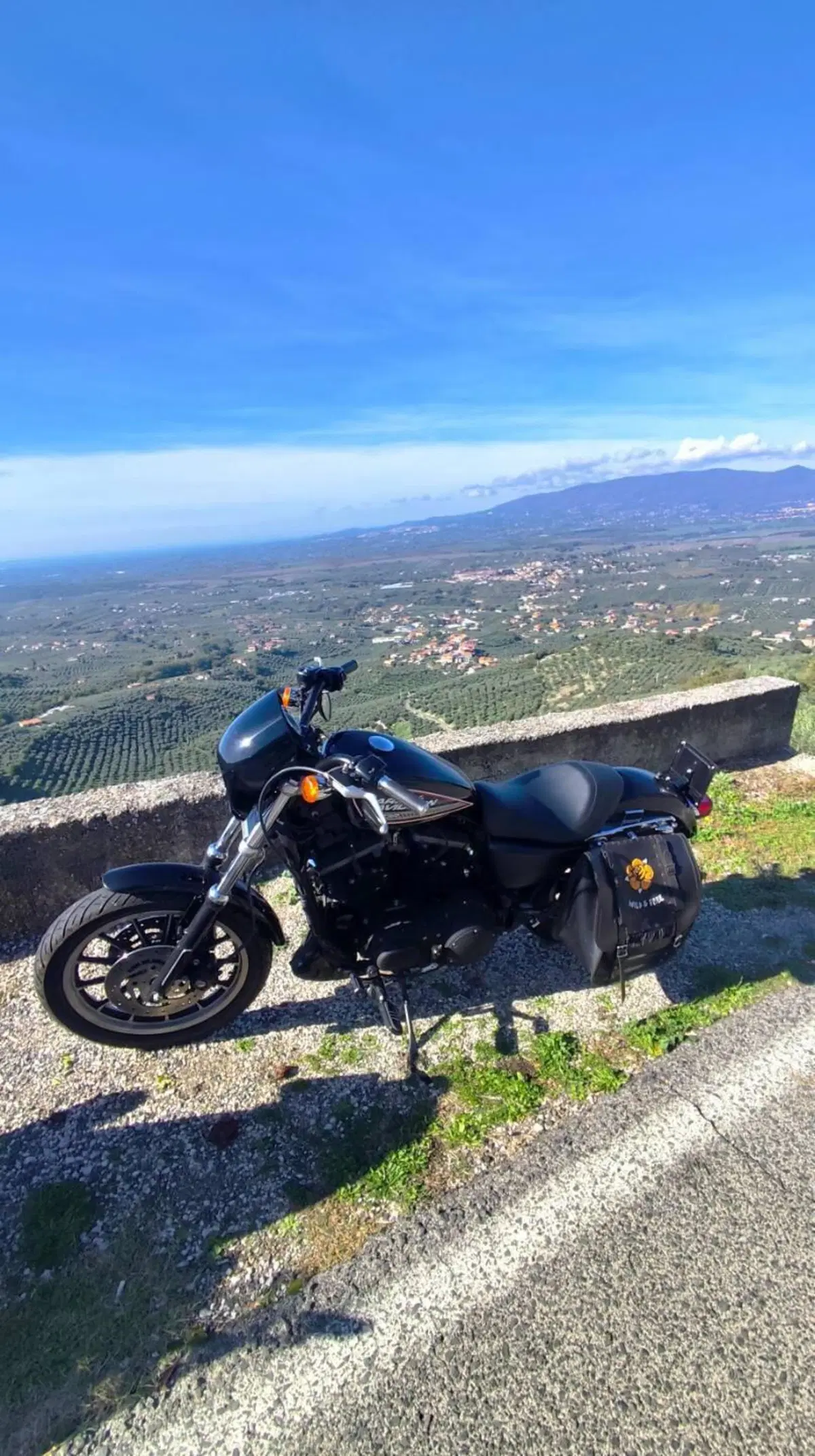 Harley-Davidson 883 R (2008 - 16) - XL 883R (3)