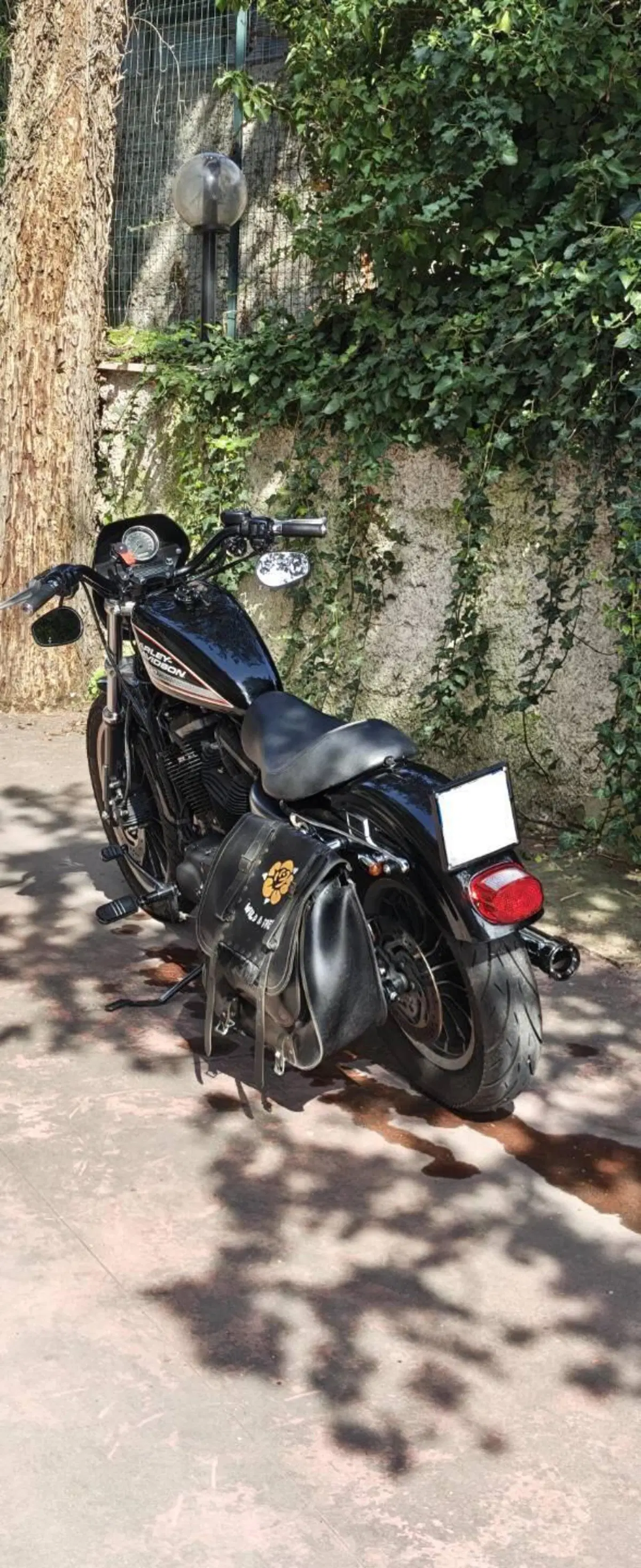 Harley-Davidson 883 R (2008 - 16) - XL 883R (2)