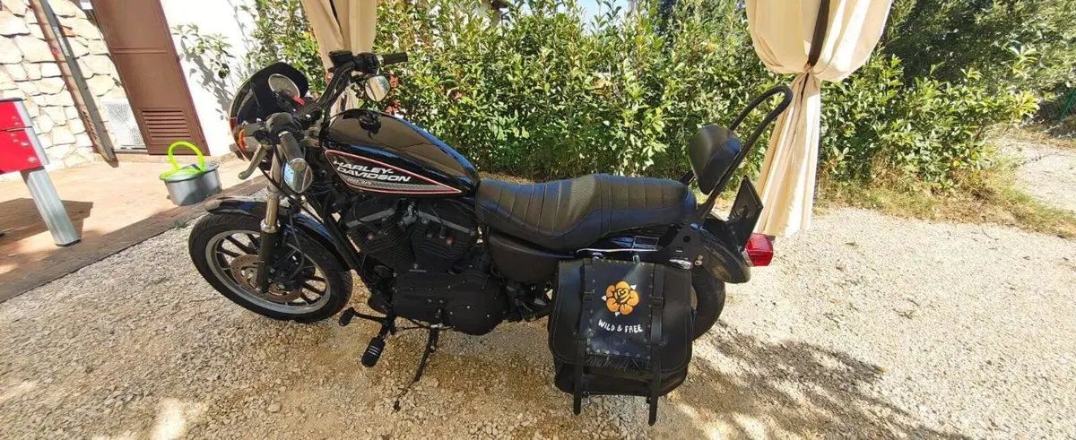 Harley-Davidson 883 R (2008 - 16) - XL 883R (13)