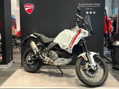 Ducati DesertX (2022 - 25) usata
