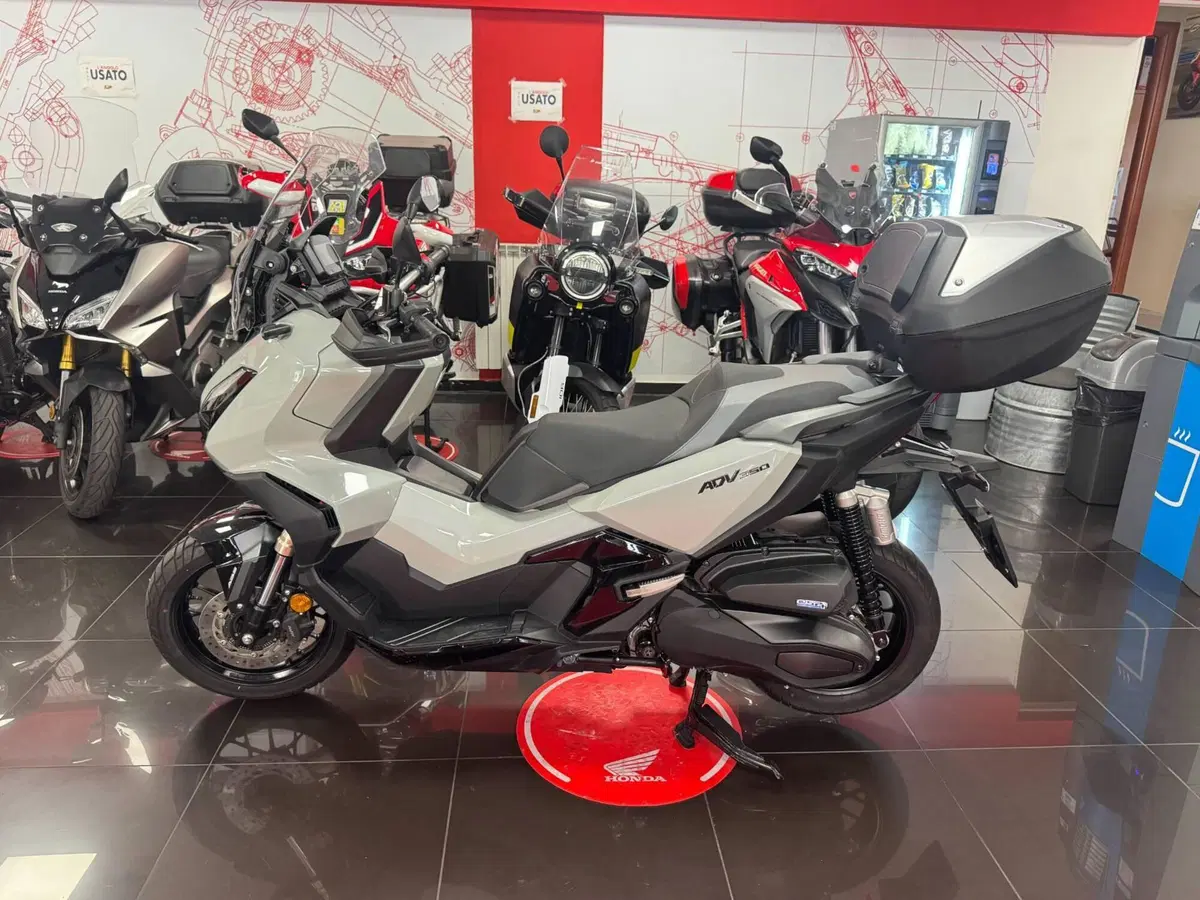 Honda ADV 350 (2022 - 24) (2)