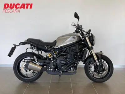 Benelli Leoncino 800 (2022 - 26) usata