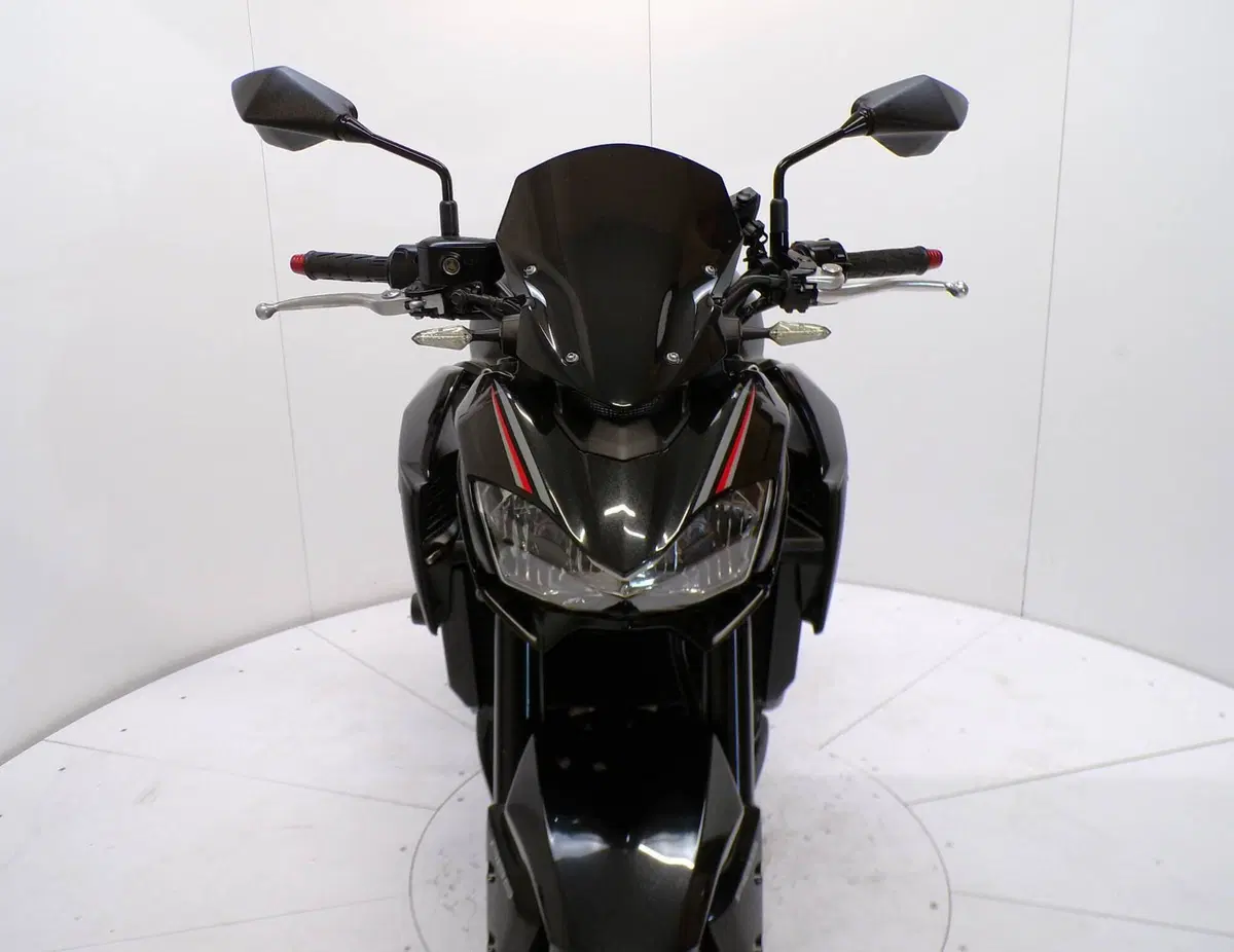 Kawasaki Z 900 (2017 - 18) (9)