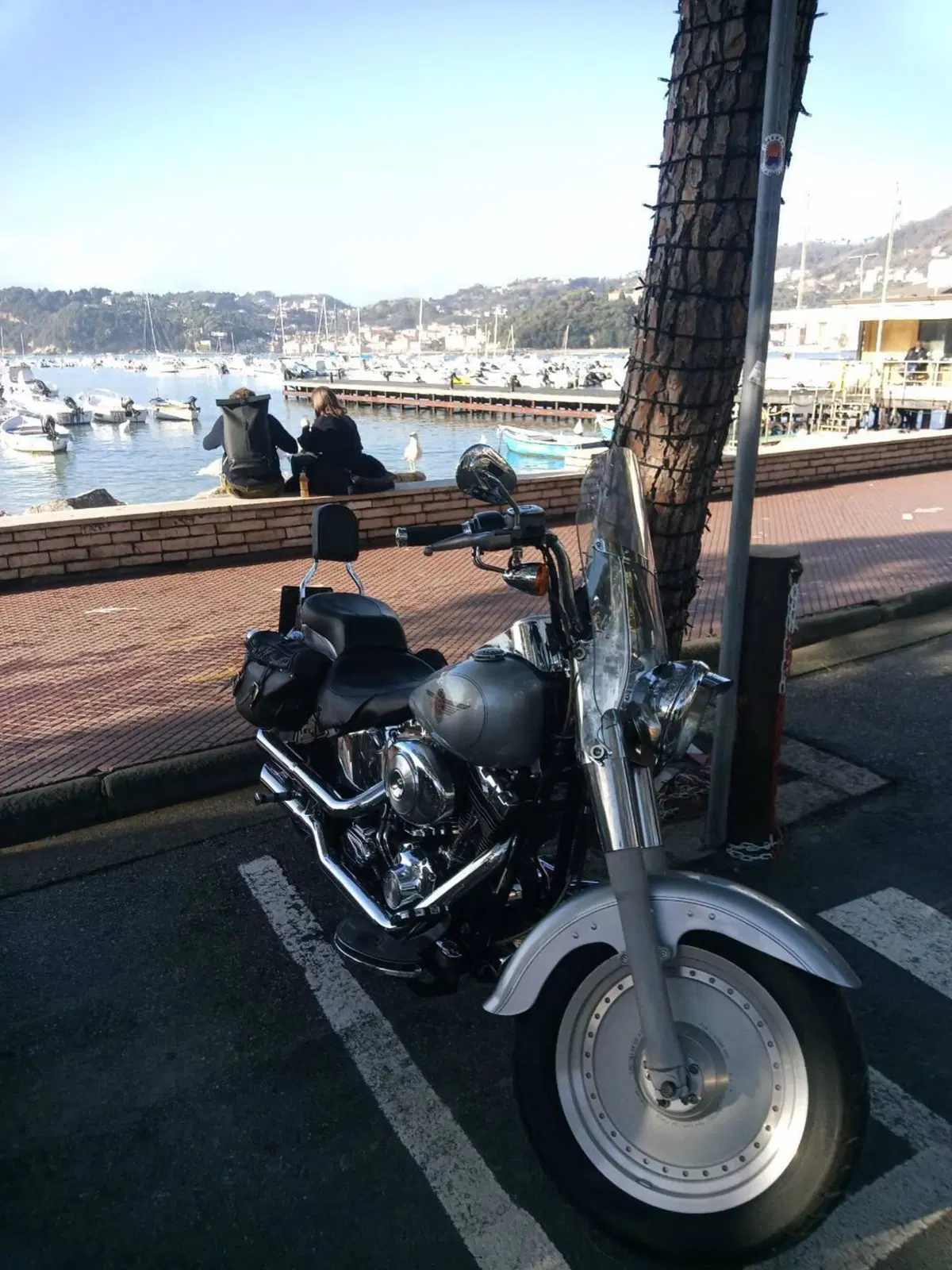 Harley-Davidson 1450 Fat Boy (1999 - 02) - FLSTF (7)