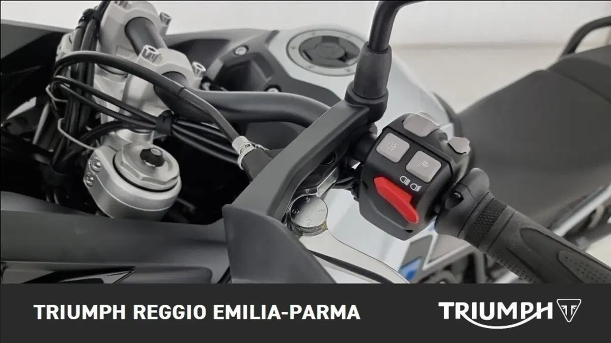 Triumph Tiger 900 Alpine Special Edition (2026) (11)