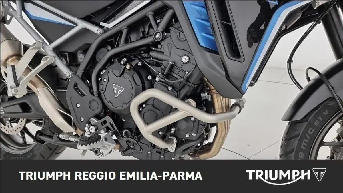 Triumph Tiger 900 Alpine Special Edition (2026) (20)