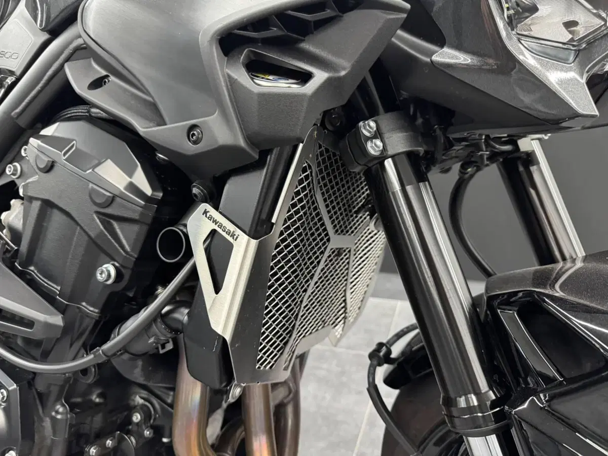 Kawasaki Z 900 (2025 - 26) (4)