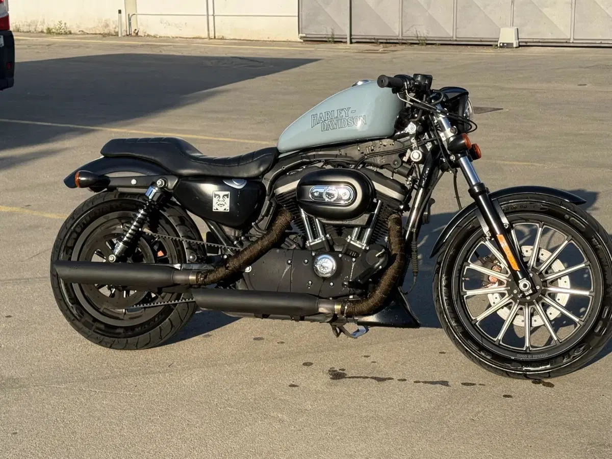 Harley-Davidson 883 Iron (2009 - 11) - XL 883N (2)