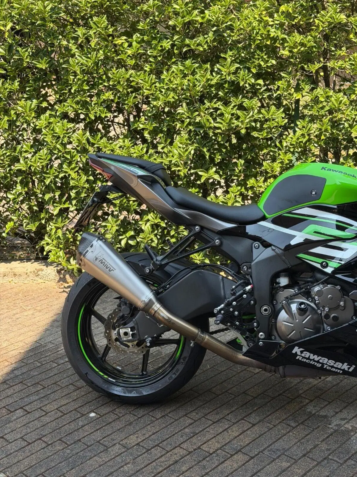 Kawasaki Ninja 636 ZX-6R (2019 - 20) (2)