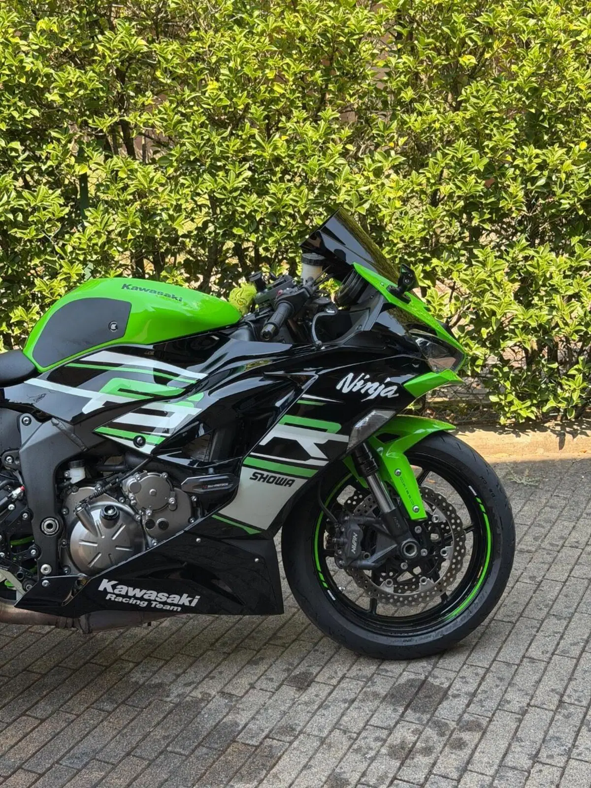 Kawasaki Ninja 636 ZX-6R (2019 - 20) (3)