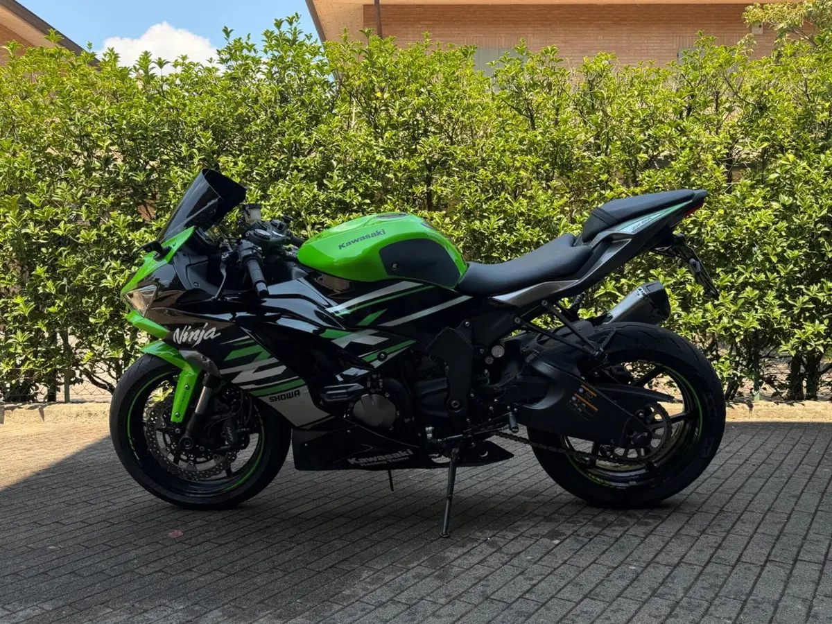 Kawasaki Ninja 636 ZX-6R (2019 - 20) (11)