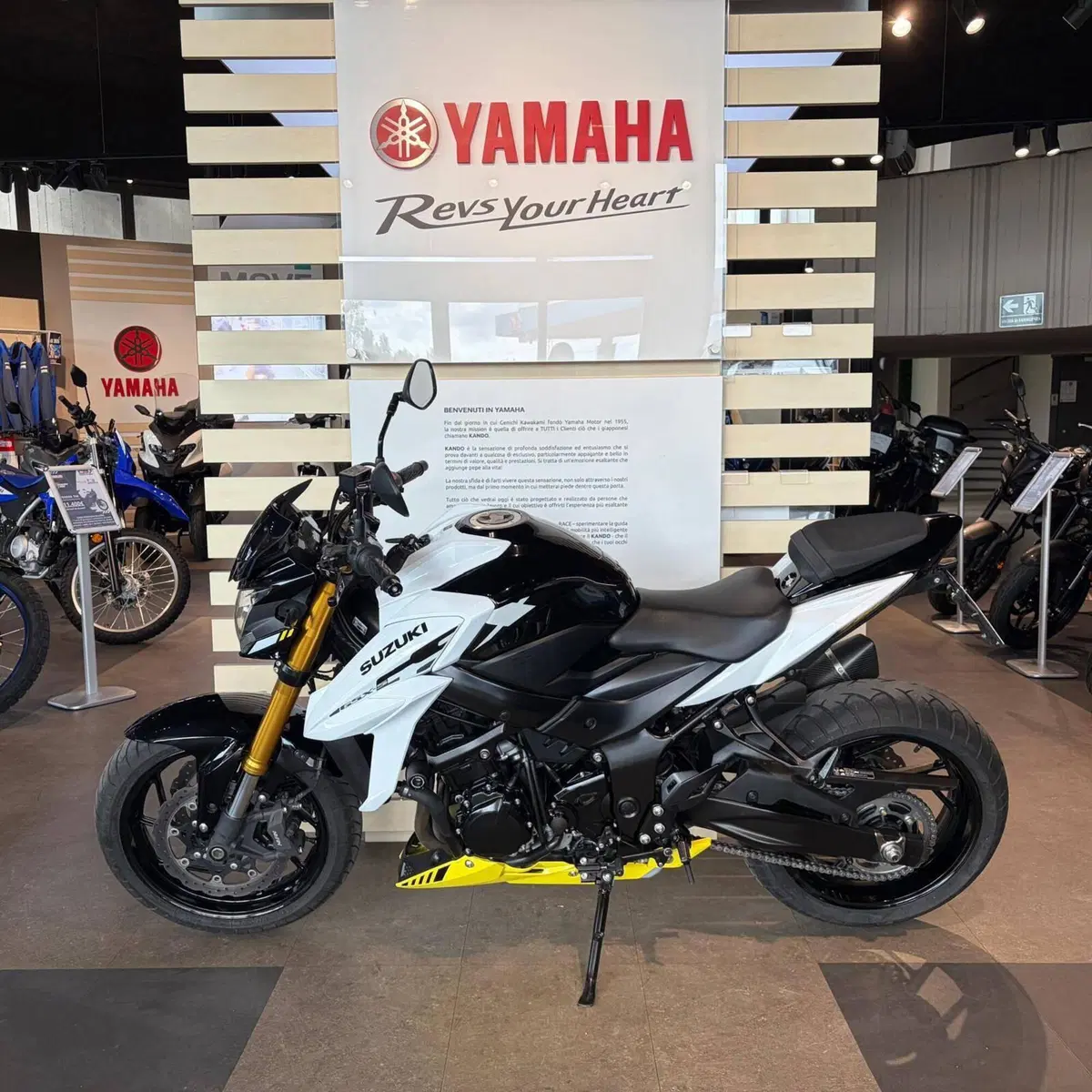 Suzuki GSX S 750 Yugen (2018 - 20) (8)