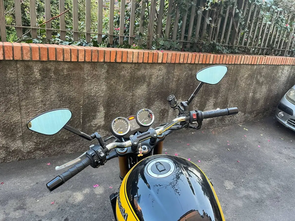 Kawasaki Z 900 RS SE (2022 - 25) (3)