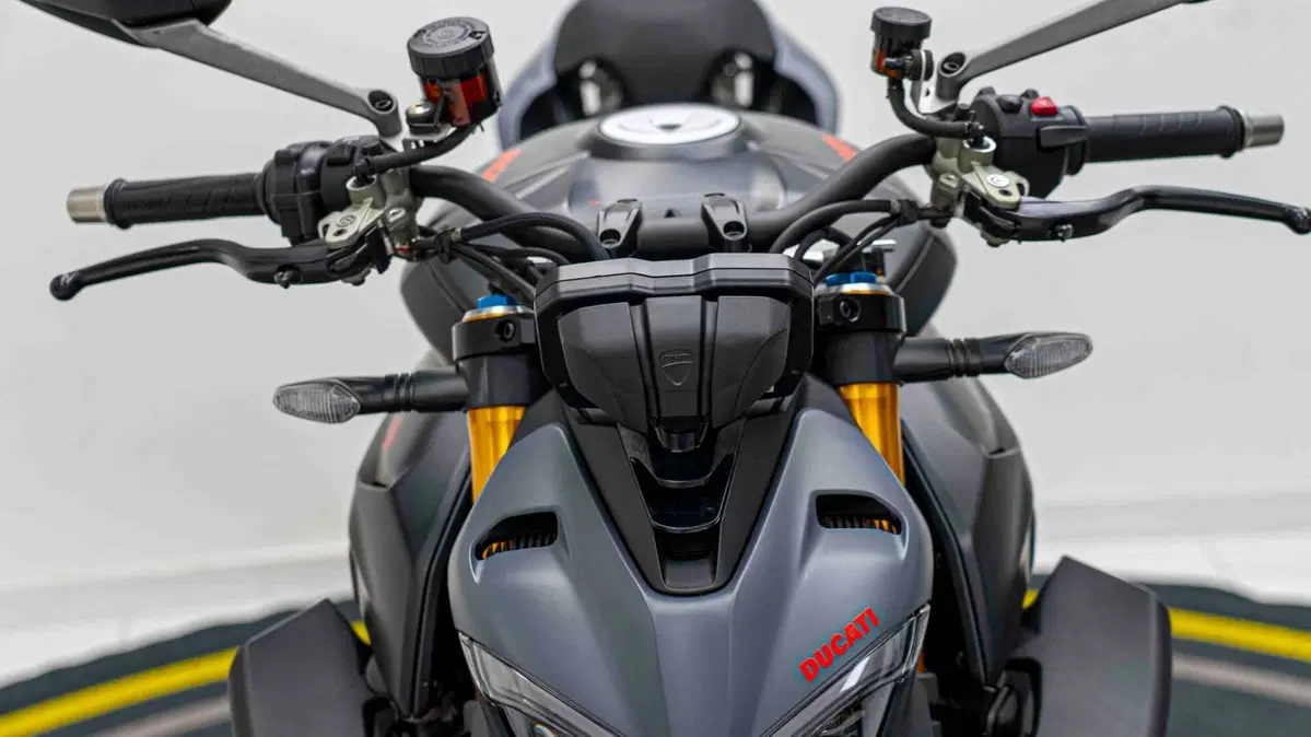 Ducati Streetfighter V4 S (2023 - 24) (6)