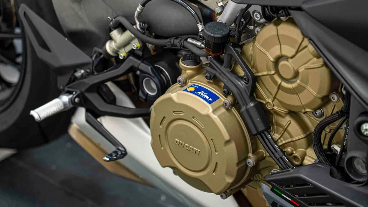 Ducati Streetfighter V4 S (2023 - 24) (17)