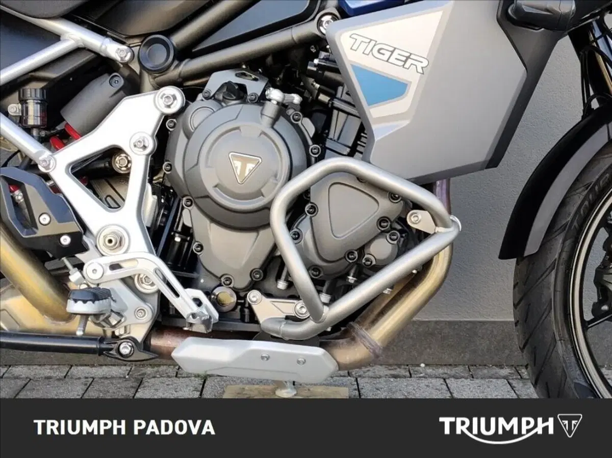 Triumph Tiger 1200 GT Explorer (2022 - 23) (3)