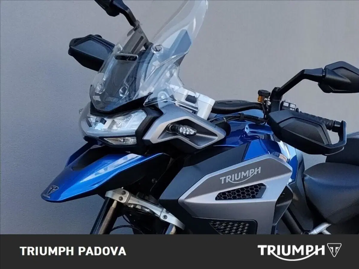 Triumph Tiger 1200 GT Explorer (2022 - 23) (10)