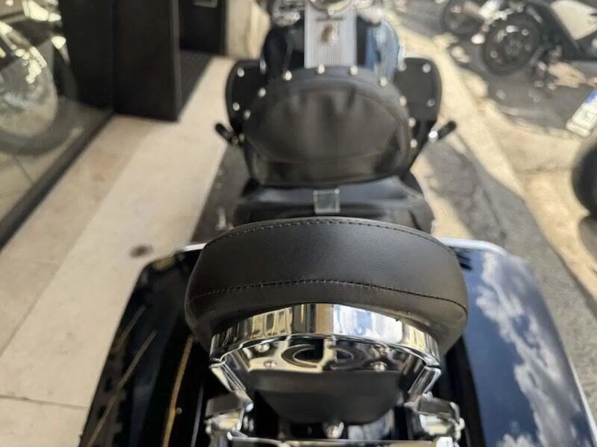 Harley-Davidson 1450 Road King Classic (2006 - 07) - FLHRCI (19)