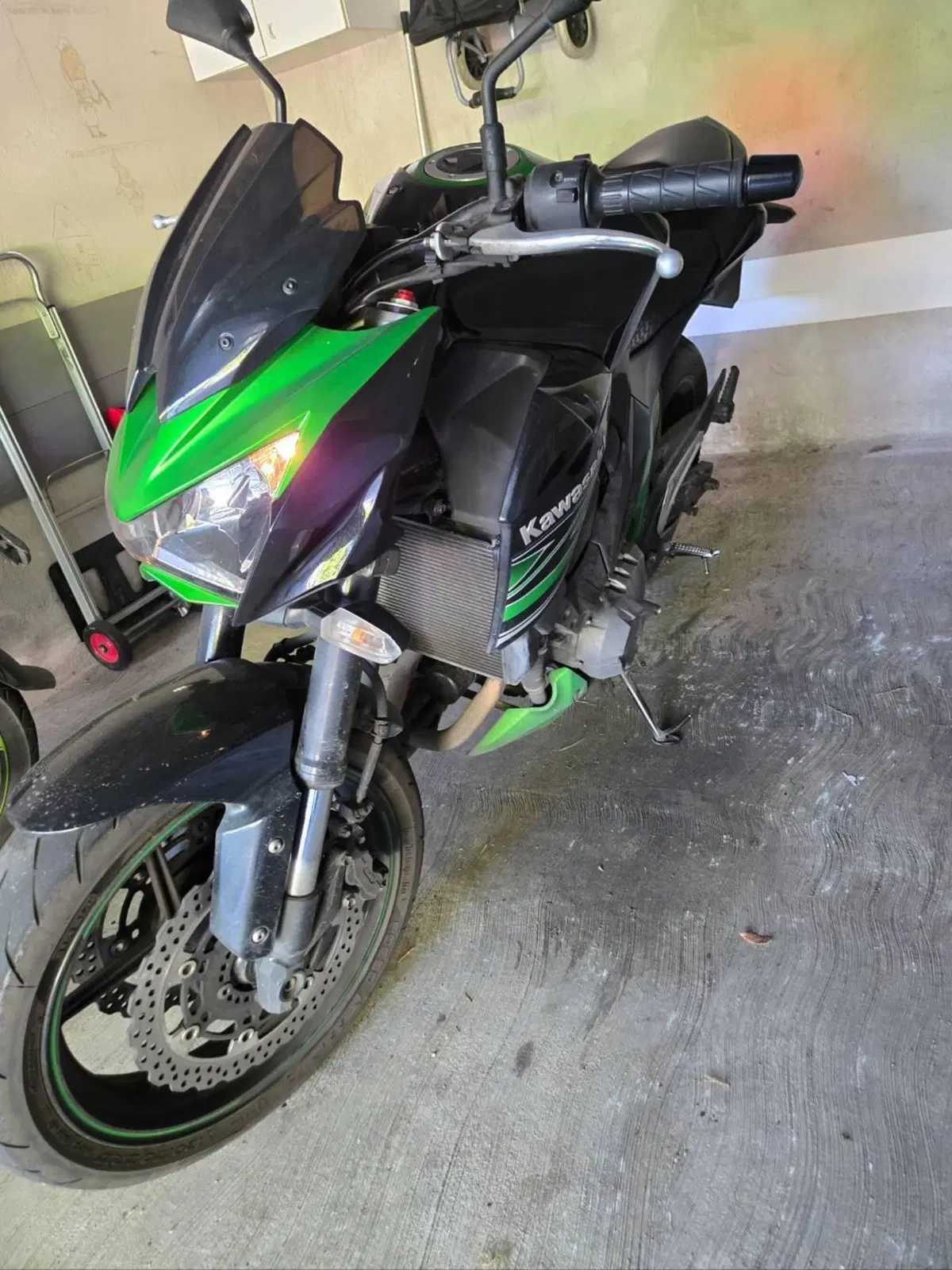 Kawasaki Z 800 (2012 - 13) (5)