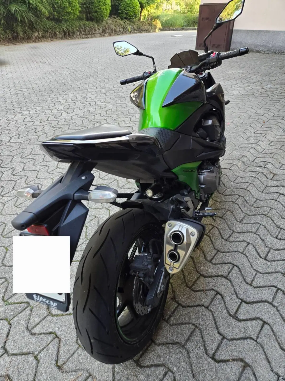 Kawasaki Z 800 (2012 - 13) (9)