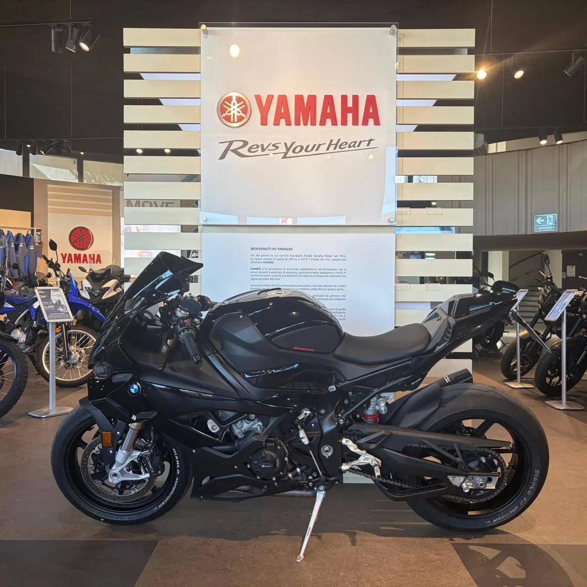 Bmw S 1000 RR (2021 - 22) (8)