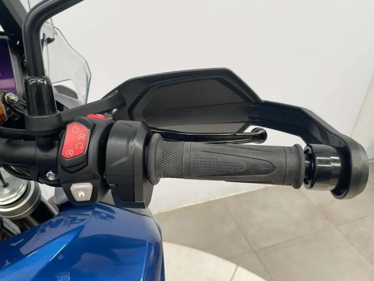 Triumph Tiger 1200 GT Pro (2022 - 23) (12)