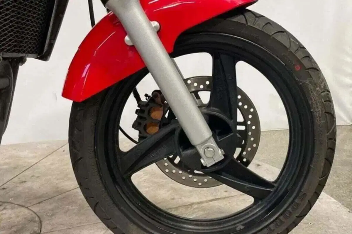 Kawasaki ER-5 500 (2001 - 06) (5)