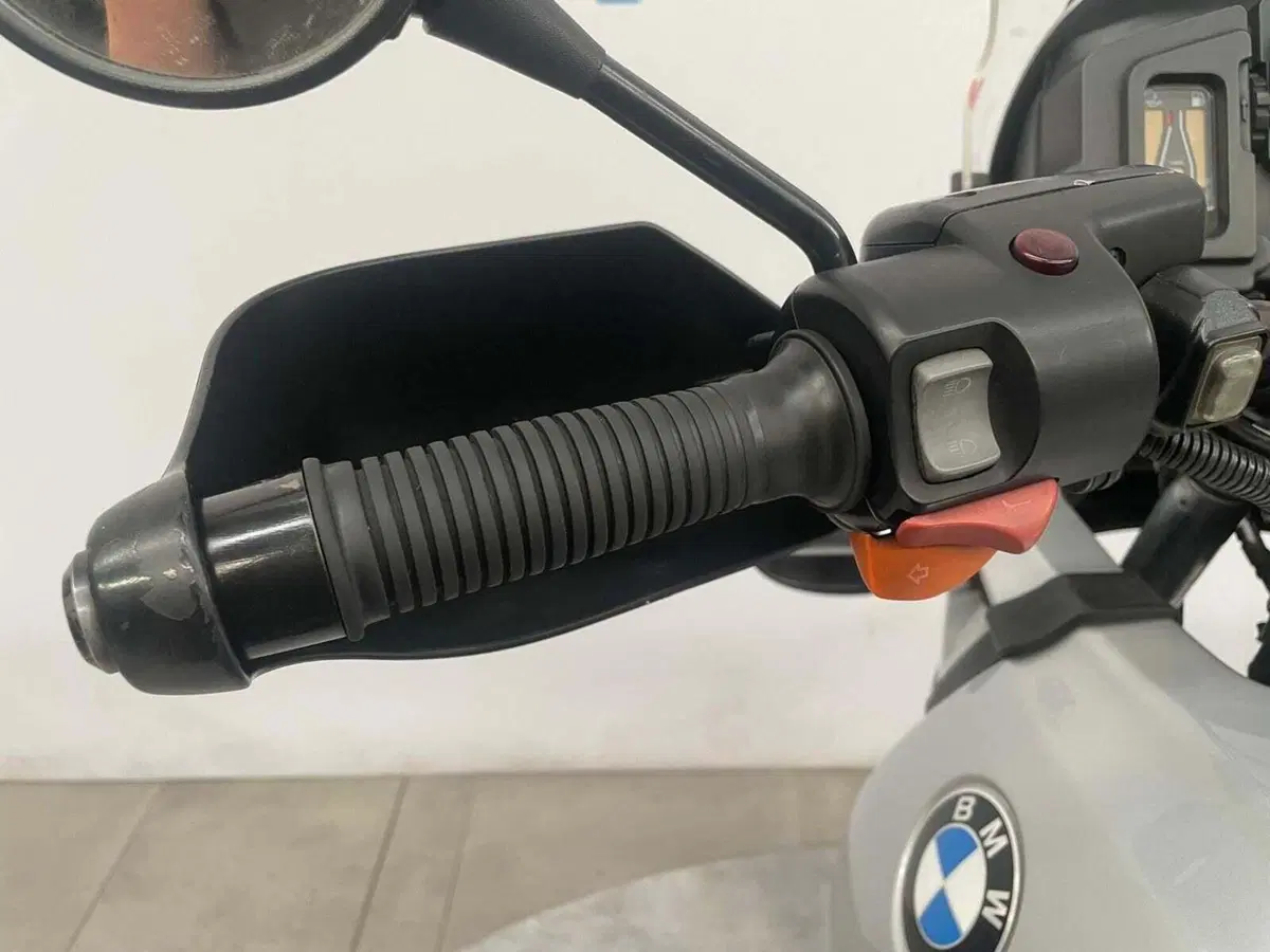 Bmw R 1150 GS (1999 - 03) (7)