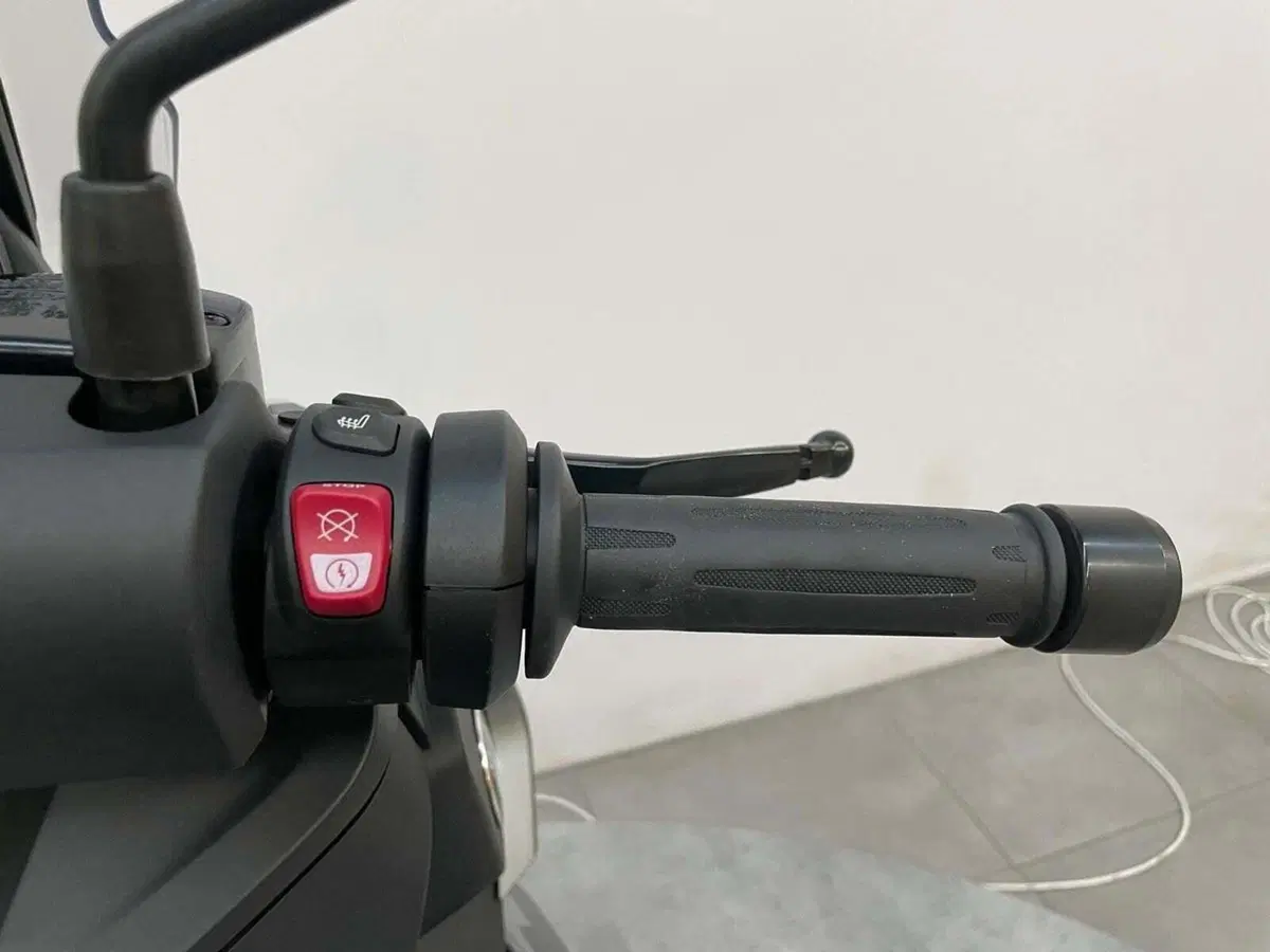 Bmw C 400 X (2021 - 24) (14)