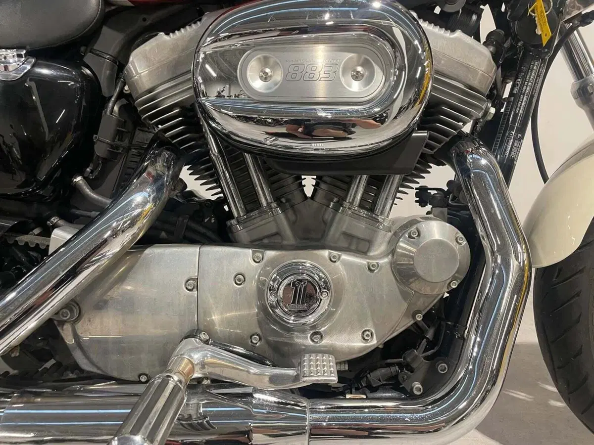 Harley-Davidson 883 Low (2008 - 12) - XL 883L (4)