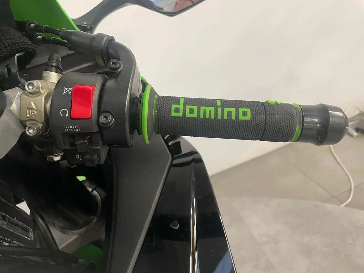 Kawasaki Ninja 1000 ZX-10R (2016) (10)