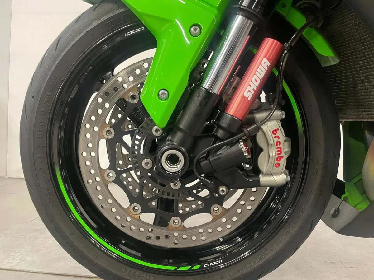 Kawasaki Ninja 1000 ZX-10R (2016) (13)