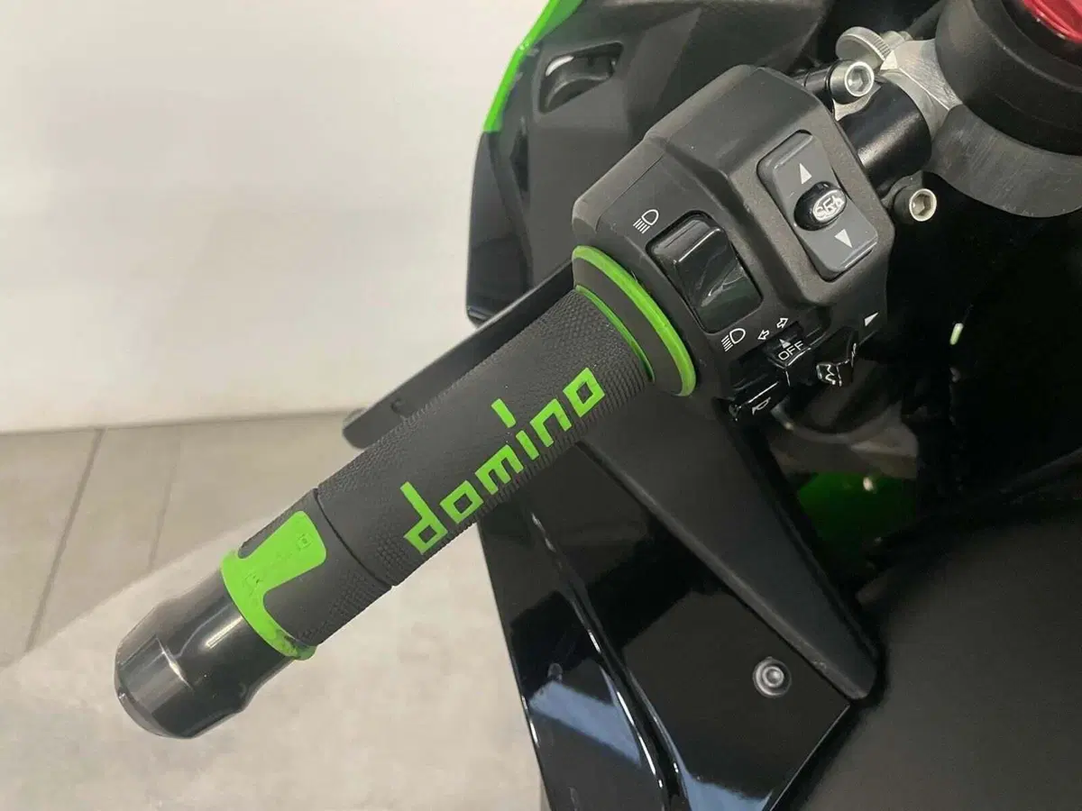Kawasaki Ninja 1000 ZX-10R (2016) (17)