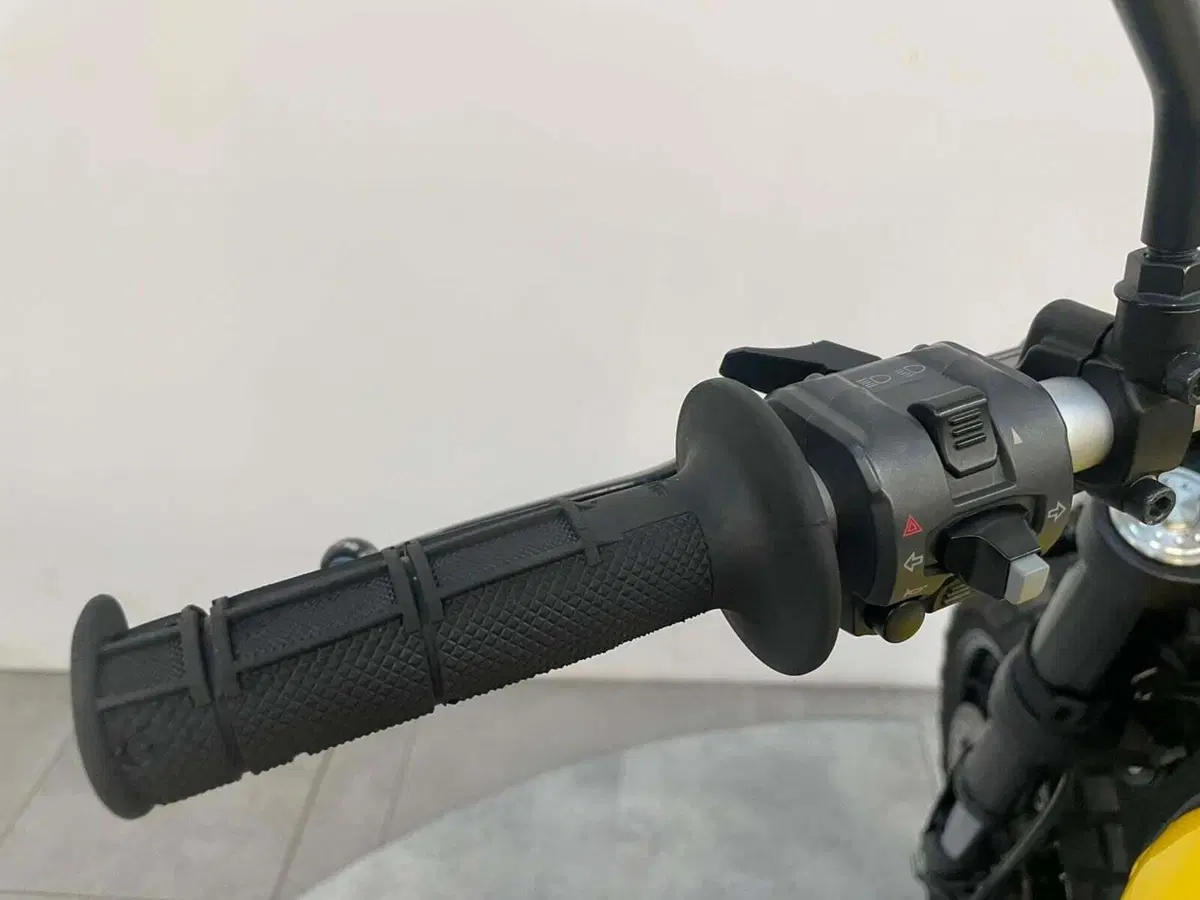Ducati Scrambler 800 Classic (2017 - 18) (10)