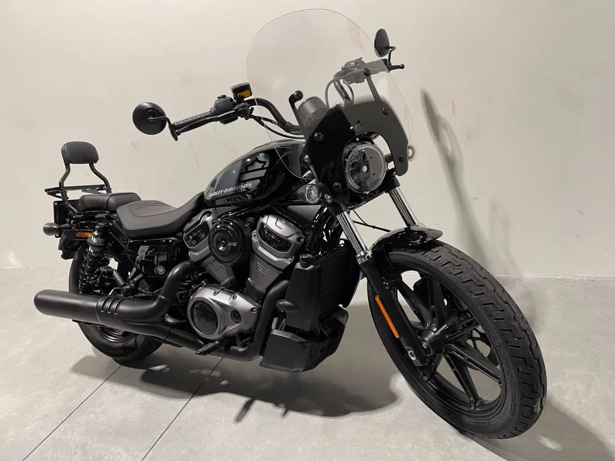 Harley-Davidson Nightster (2023 - 26) (2)