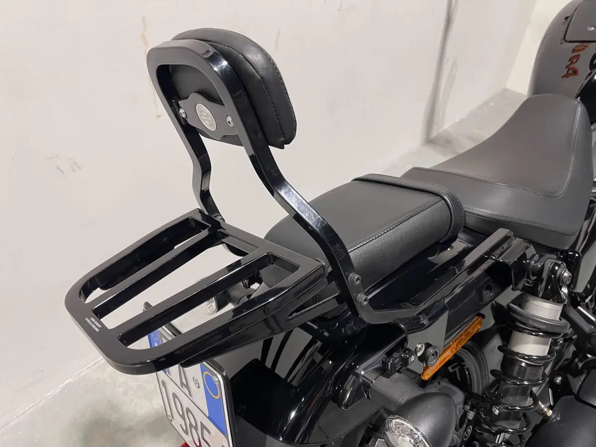 Harley-Davidson Nightster (2023 - 26) (4)