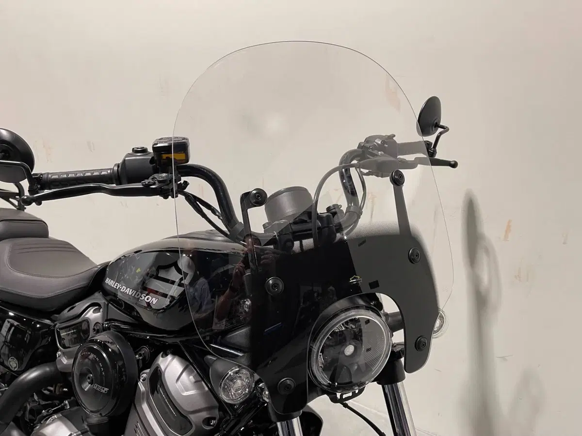 Harley-Davidson Nightster (2023 - 26) (5)