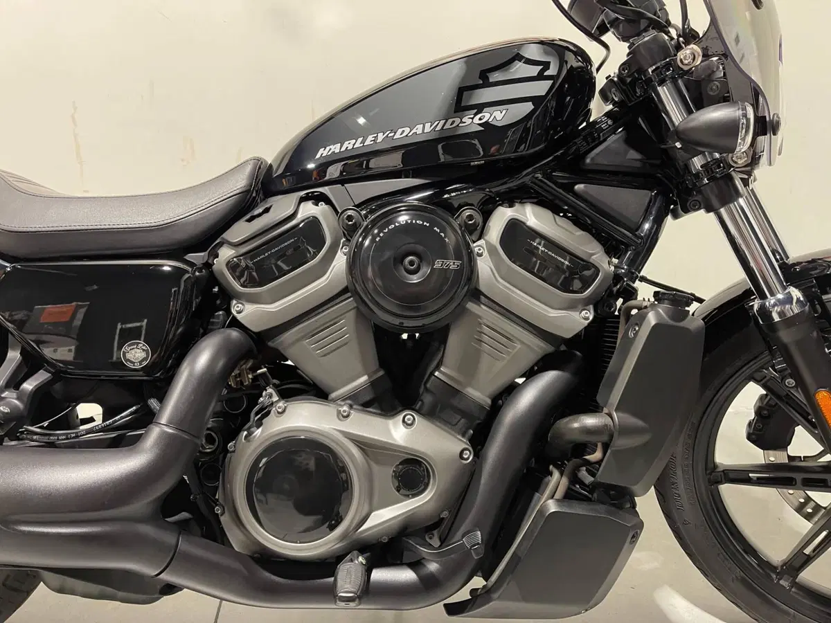 Harley-Davidson Nightster (2023 - 26) (6)