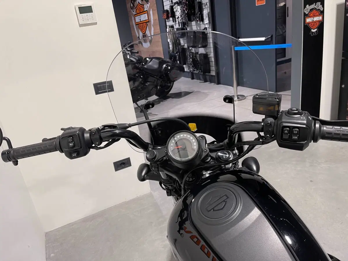Harley-Davidson Nightster (2023 - 26) (7)