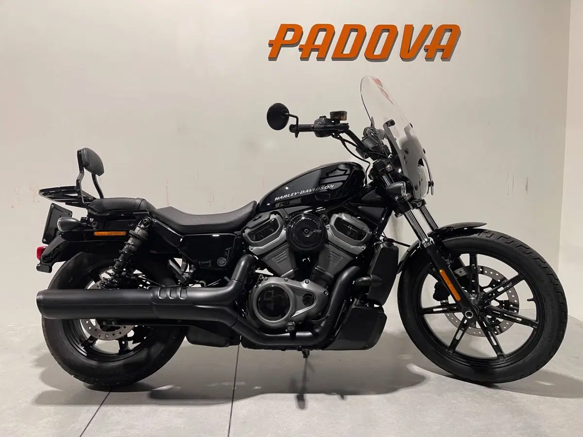 Harley-Davidson Nightster (2023 - 26) (8)