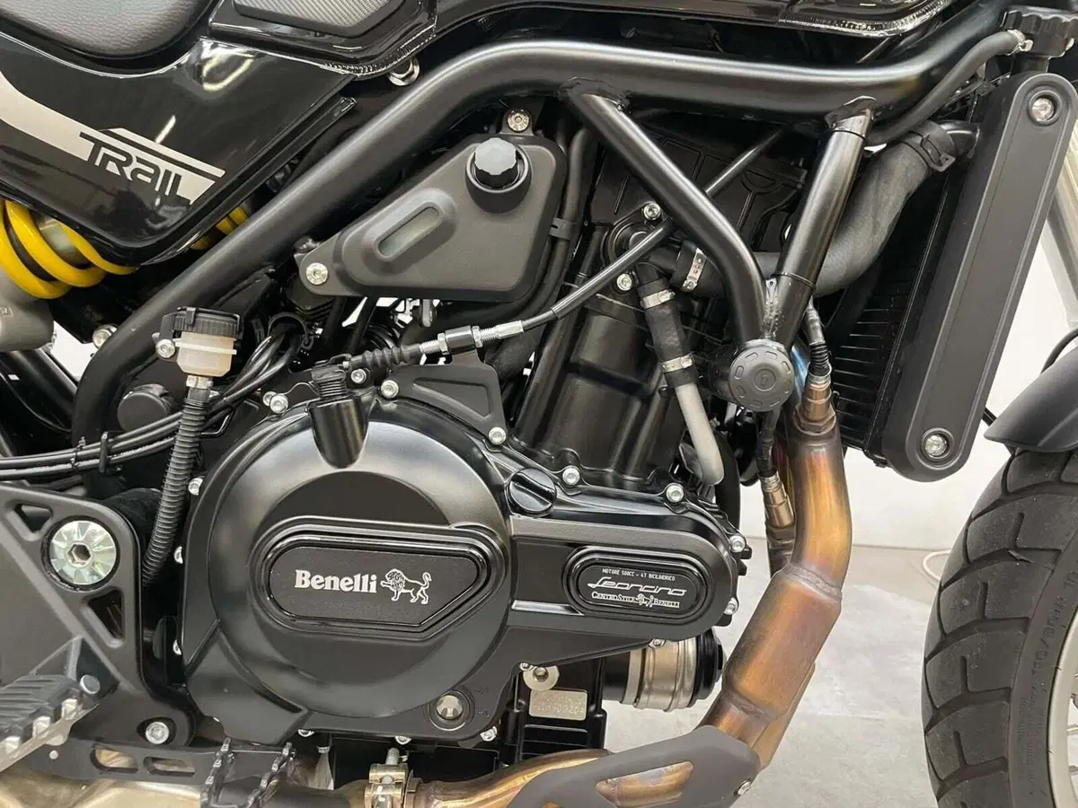 Benelli Leoncino 500 Trail (2021 - 26) (3)