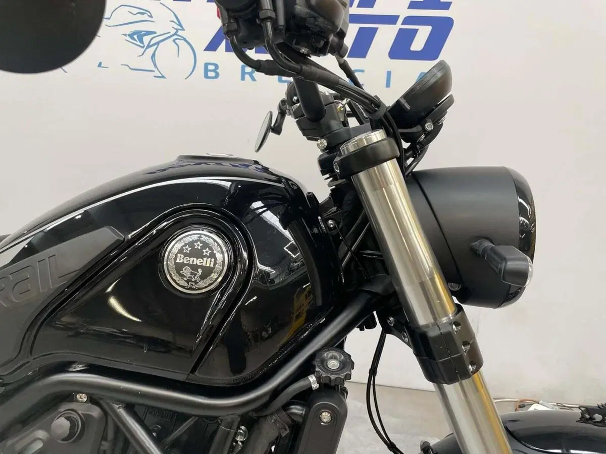 Benelli Leoncino 500 Trail (2021 - 26) (5)