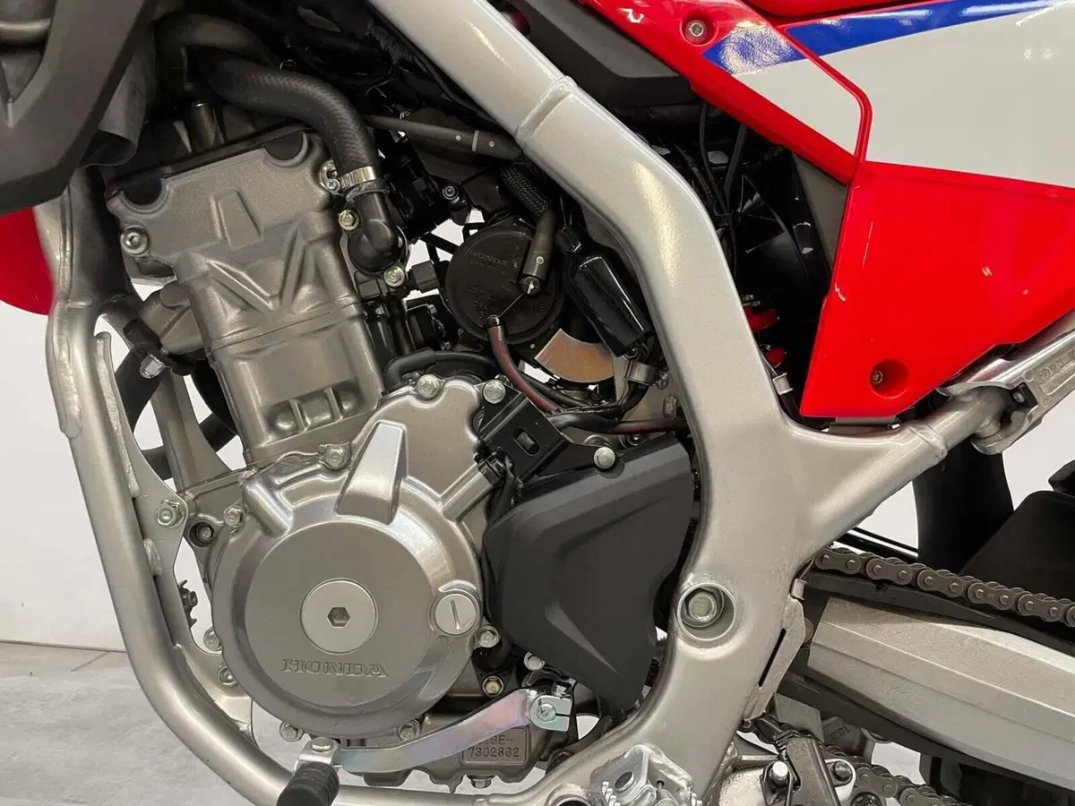 Honda CRF 300 Rally (2025 - 26) (7)